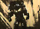 Avatar de l’utilisateur